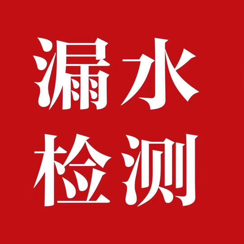 淄博测漏的图标