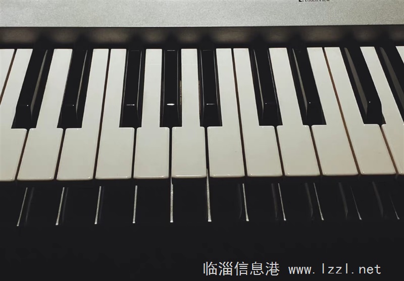 乐器陪练老师数名