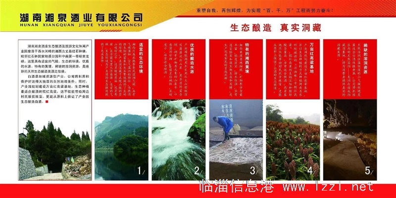 湘泉酒业山东办事处高薪诚聘