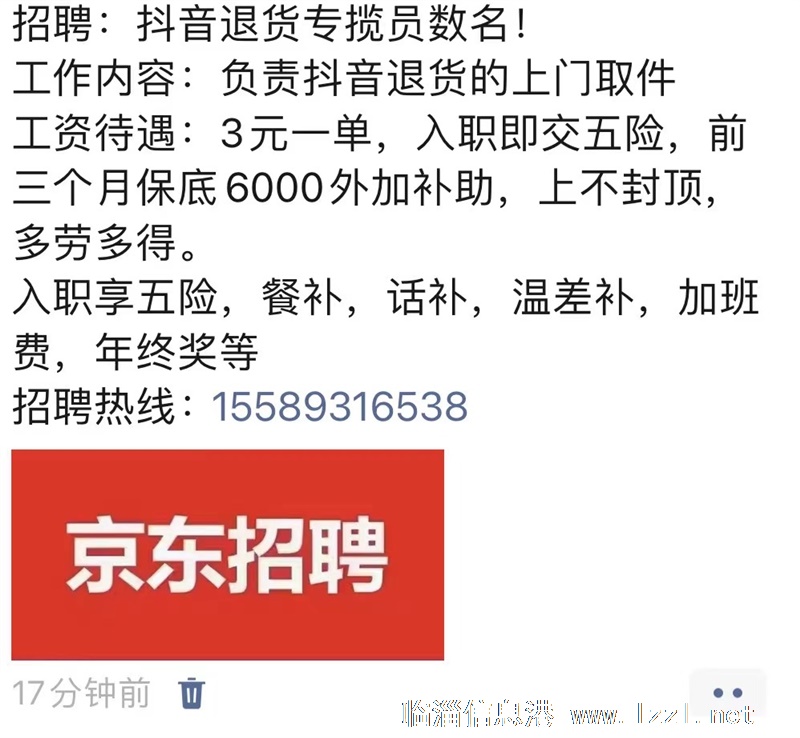京东招聘专员