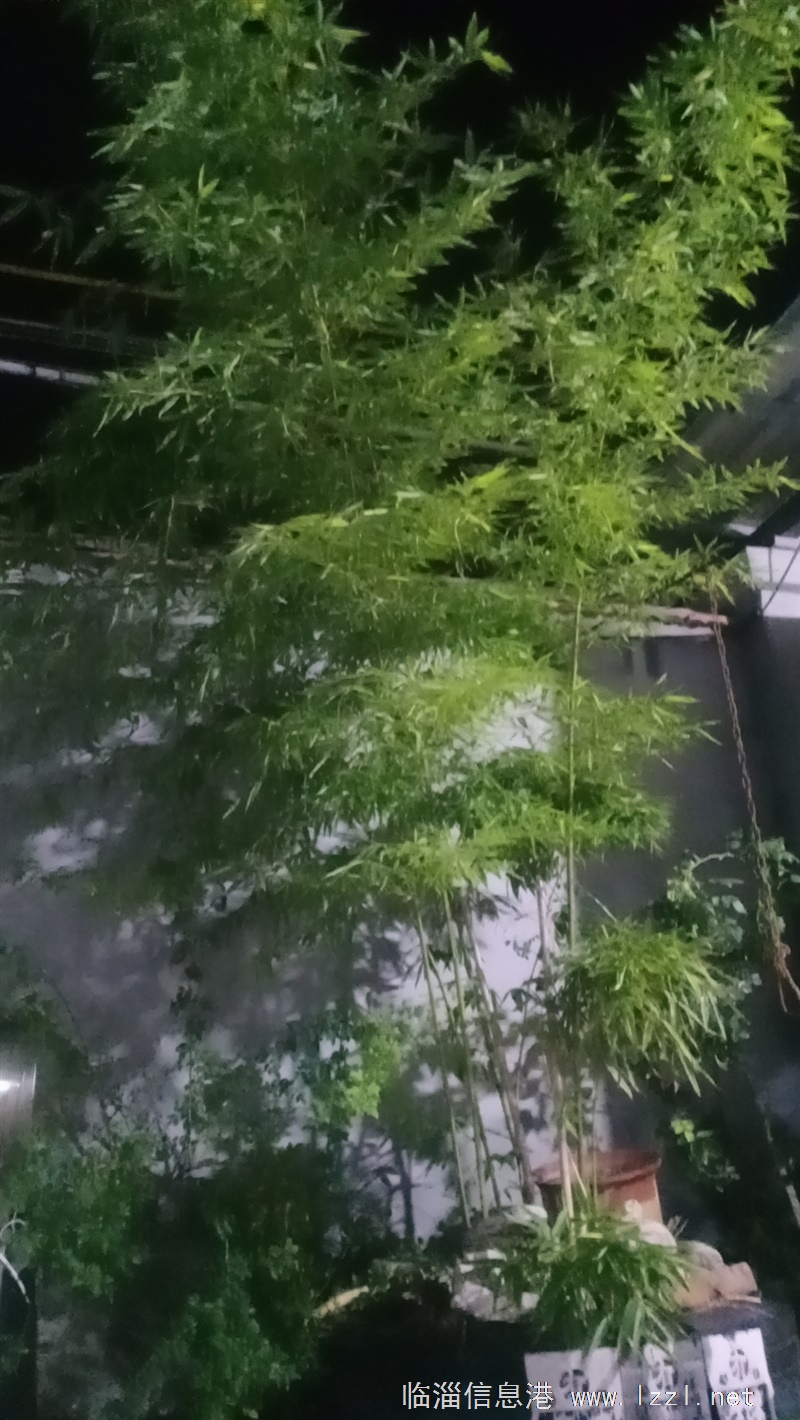 仓库 厂房出租
