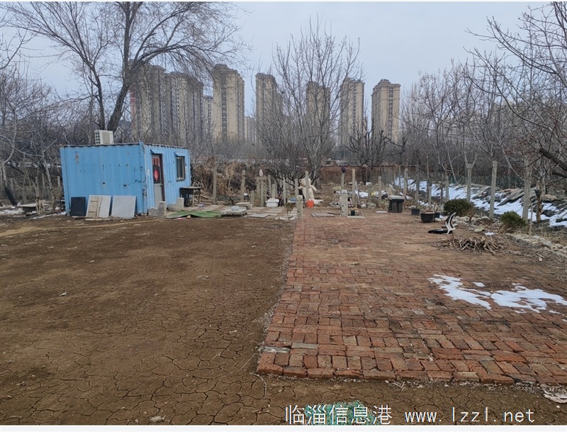 旧货市场南单独小院出租